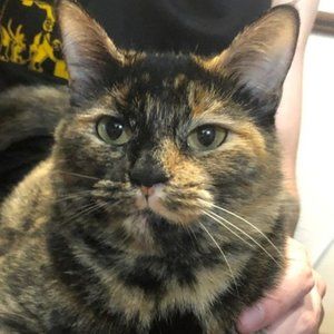 Meet your Posher, Elaina